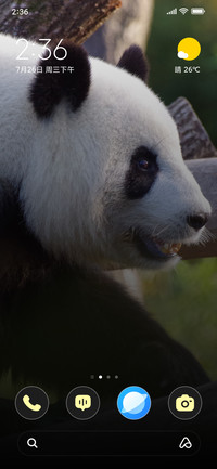 Bamboo King