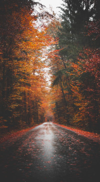 Nature B5 (31)