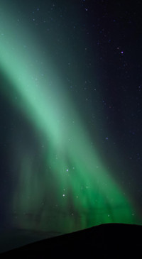 Nature B5 (9)