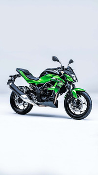 当速度遇上激情