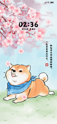 国风可爱阿柴