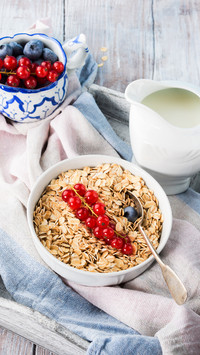 How to eat oats nutrition designs