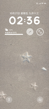沙滩上的星ins