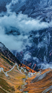 The road in autumn
