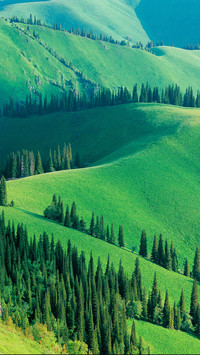 The earth is turning green 21