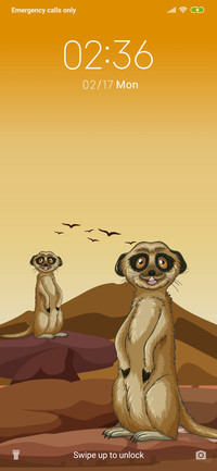 Mongoose_3MDS 