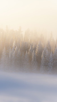 Kanas Morning Mist Fantasy