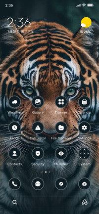 Danger Tiger
