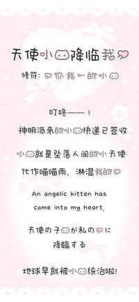 天使小猫降临我心