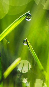 雨水