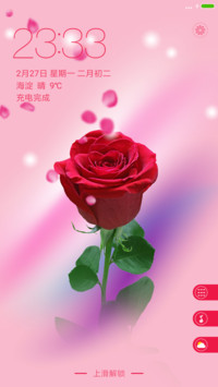 新红玫瑰