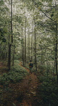 Beautiful Journey (12)