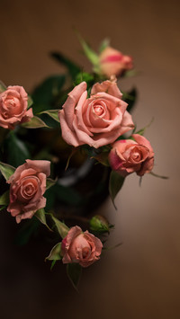 How to learn flower arranging 0