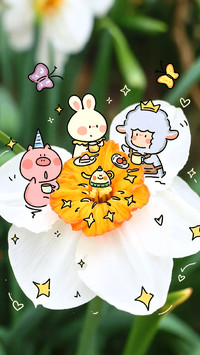 遇见更多可爱瞬间