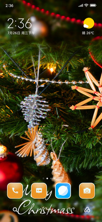 Delite Christmass