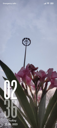 MBL V5