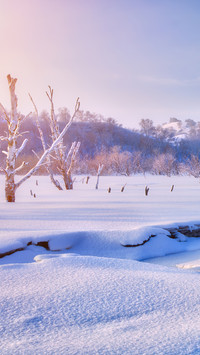 Sunrise over the snowy plains in winter