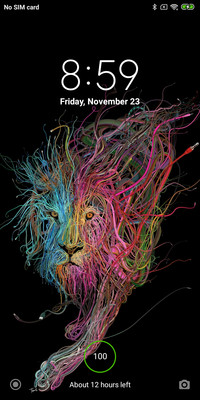 Lion V10