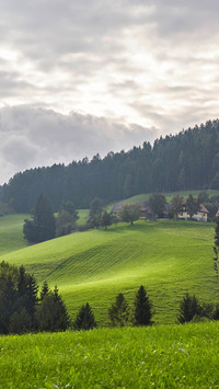 Farm on the hillside