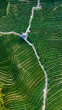 Inventory of chinas top ten most beautiful scenic spots