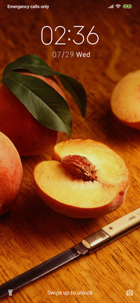 Peach - Fruit_3MDS