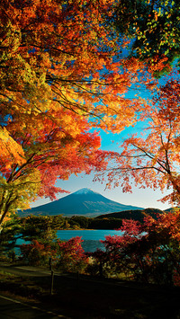 Japanese architecture