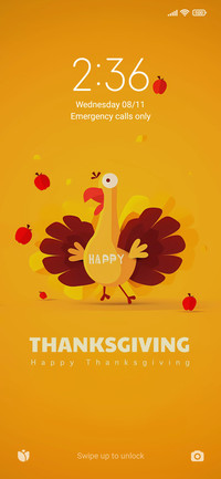 ThanksgivingTurkey
