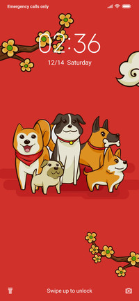 Dog_3MD