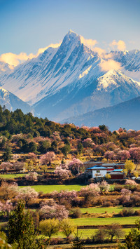 Paradise on earth xizang