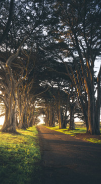 Adventure in Nature (33)