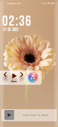 Petal