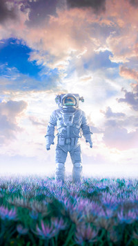 Fly through the universe