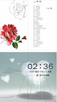 一人一花的爱情