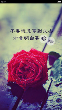 短暂爱情（好评抽奖动态）