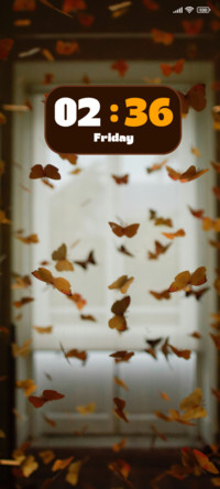 Butterfly