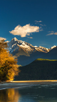 Mountains and bright autumnal forest