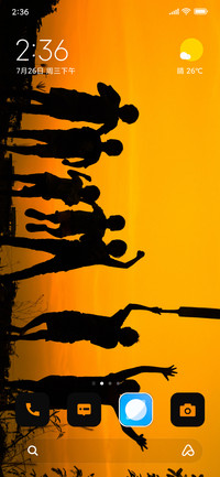 Cricket Evening