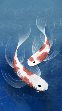 Lucky Koi Fish Illustration