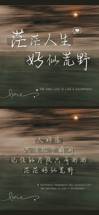 茫茫人生好似荒野