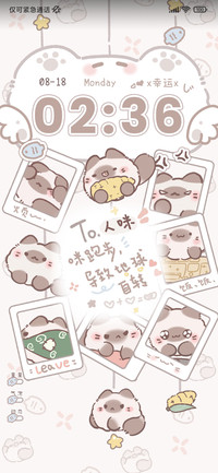 挂坠团团猫