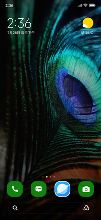 peacock feather