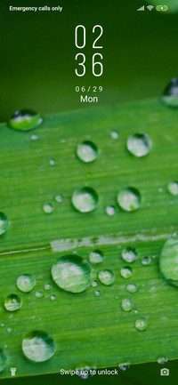 Rain Droplets_3MDS