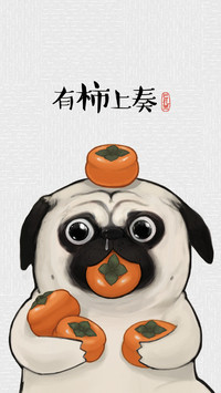 柿柿如意