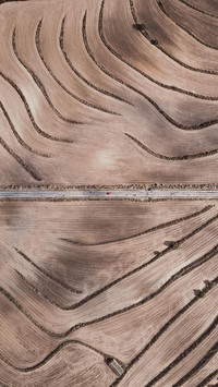VCG41N1213742257
