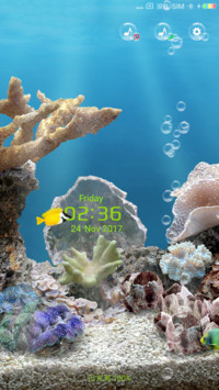 热带鱼水族馆