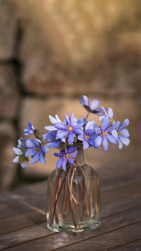 Planting flowers is an elegant practice 1