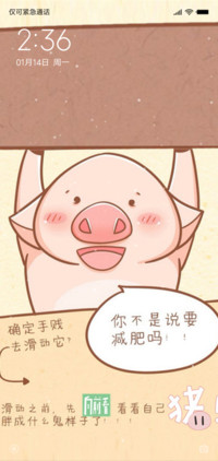 猪猪减肥记