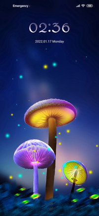 The mushroom