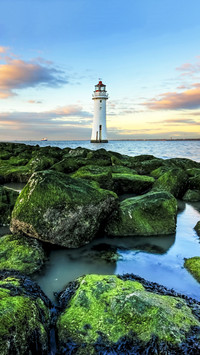 Green moss covered sea rocks and lighthouse