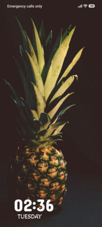 Tropical Crown